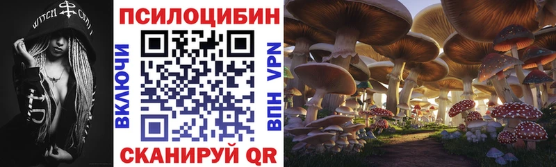 Купить закладки Ачхой-Мартан Псилоцибиновые грибы мухоморы
